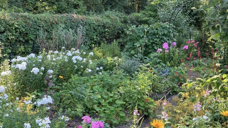 Tatort Gartenlaube